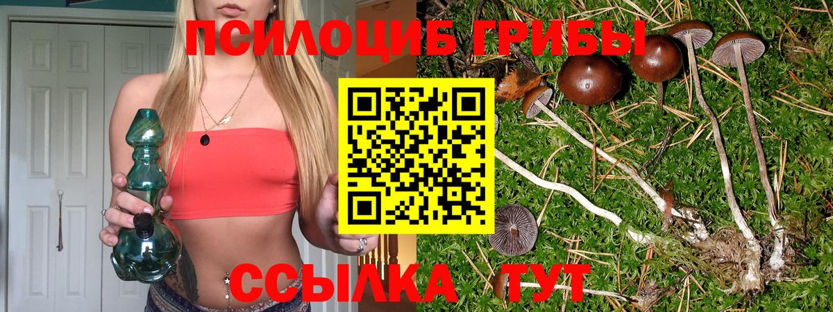 Псилоцибиновые грибы мухоморы  Вход с VPN  Псилоцибиновые грибы GOLDEN TEACHER  Минусинск 