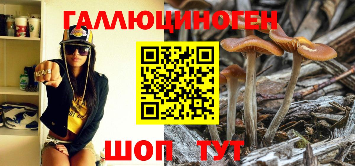 Галлюциногенные грибы Magic Shrooms Минусинск